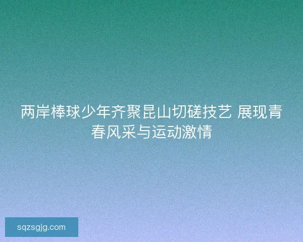 两岸棒球少年齐聚昆山切磋技艺 展现青春风采与运动激情