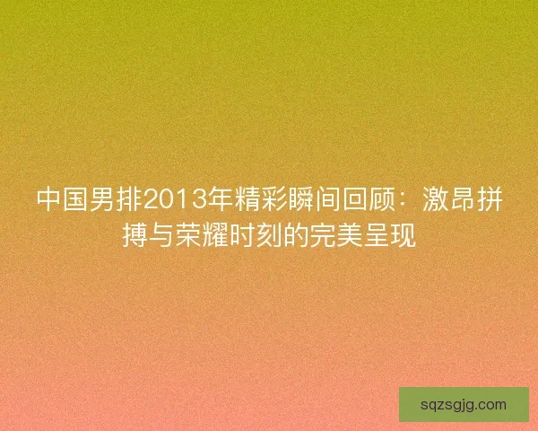 中国男排2013年精彩瞬间回顾：激昂拼搏与荣耀时刻的完美呈现