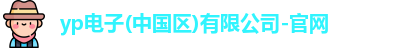 yp电子